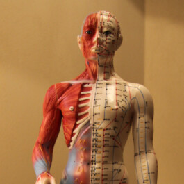 Naturheilpraxis Akuvital