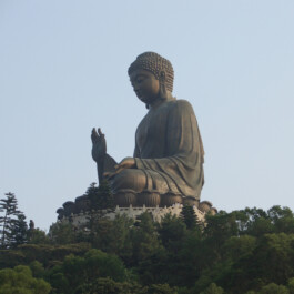 Naturheilpraxis Akuvital