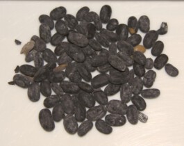 Naturheilpraxis Akuvital