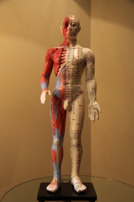 Naturheilpraxis Akuvital